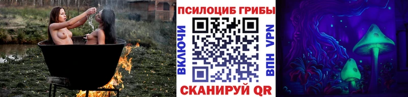 Купить где  Снежинск  Псилоцибиновые грибы GOLDEN TEACHER 